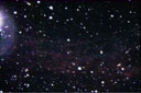 Bridal Veil Nebula(NGC6960)